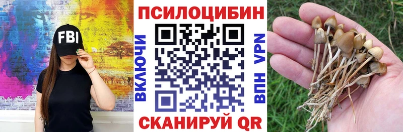 купить Дорогобуж KRAKEN зеркало Галлюциногенные грибы MAGIC MUSHROOMS